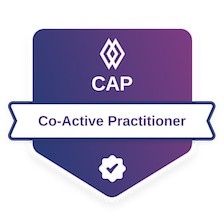 Co-Active Coaching Practitioner credential – Brandon Howard